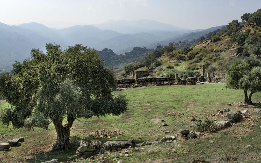 ON THE AGORA AND MARKET PLACE TERRACE