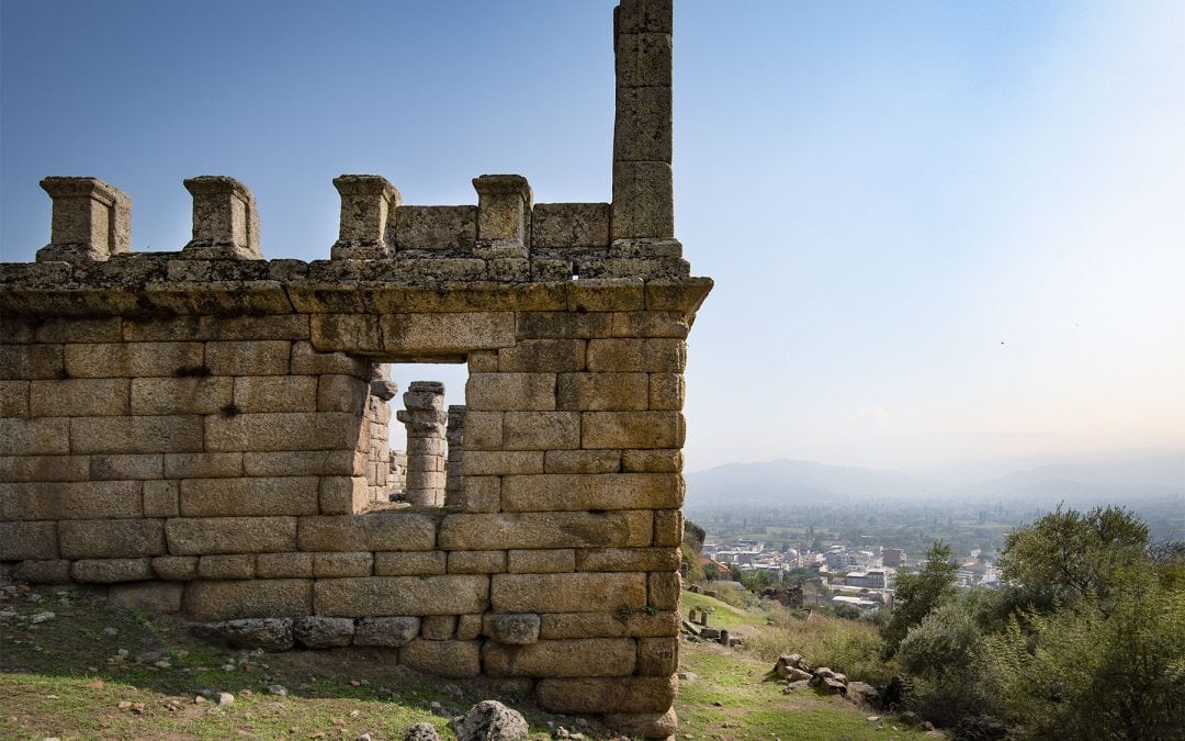 ALINDA AGORA FRONT WALL