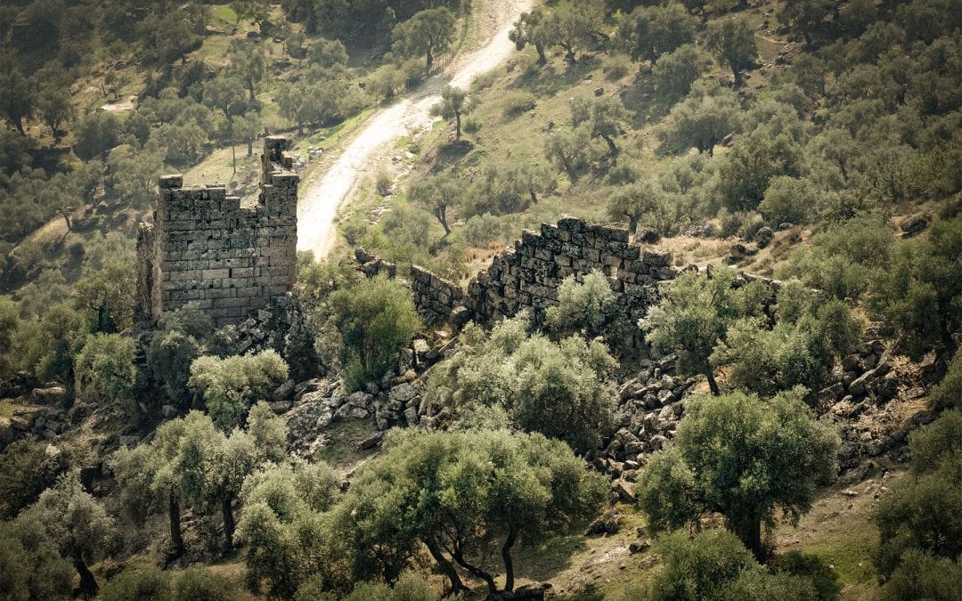 ANOTHER TOWER AND CITY WALLS AT ALINDA