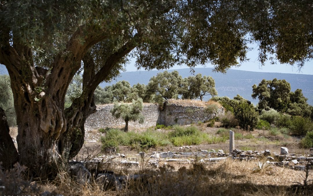 THE AGORA WITH THE CITY WALLS IN THE BACKGROUND AT IASSOS