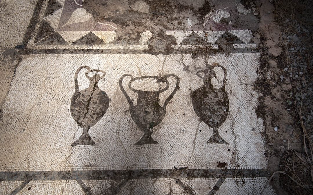 DETAILS OF MOSAICS AT IASSOS