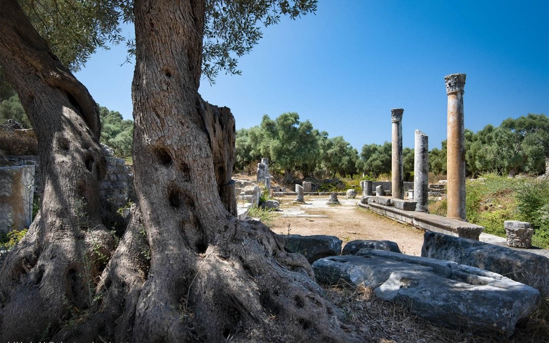 EASTERN STOA AT IASSOS