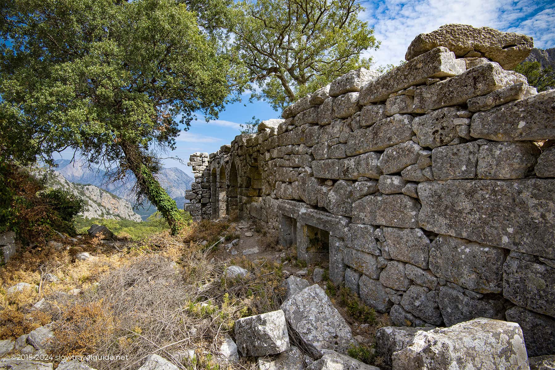 Phaselis-1800-08 TERMESSOS