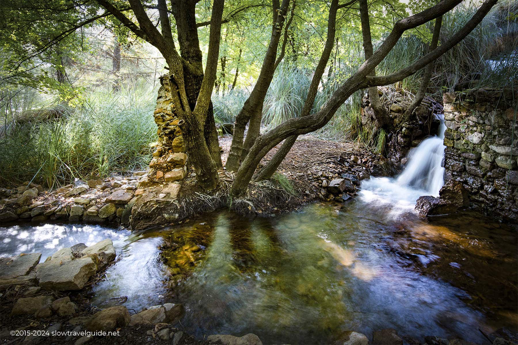 Phaselis-1800-08 TOPARLAR