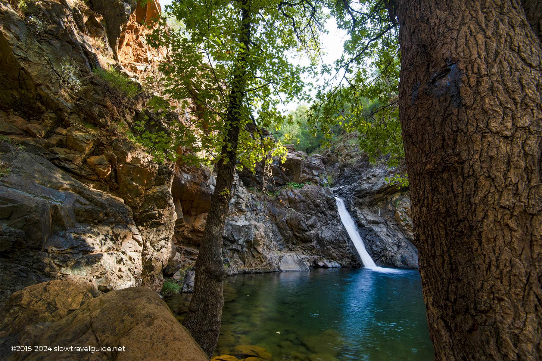 Phaselis-1800-08 TOPARLAR