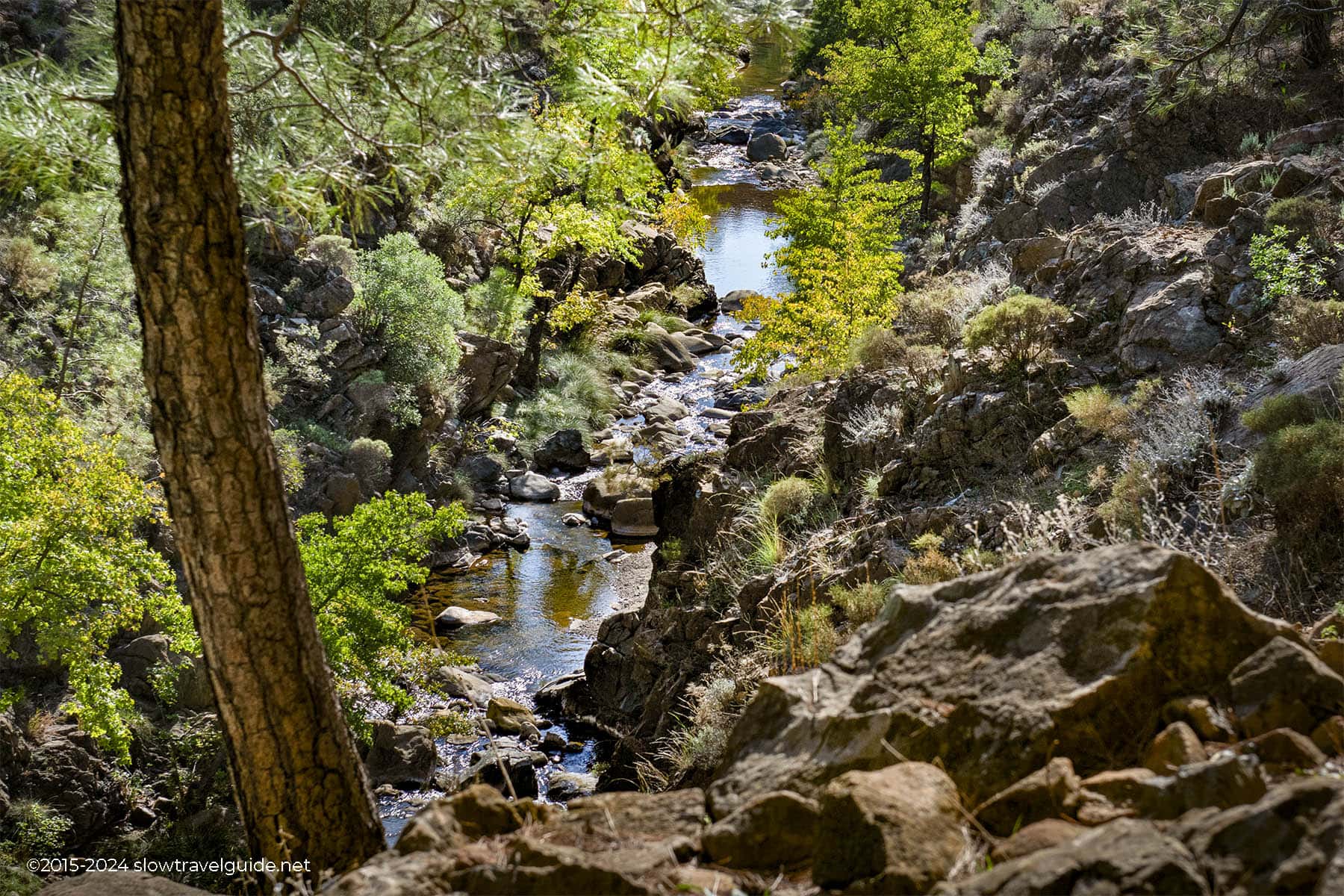 Phaselis-1800-08 TOPARLAR