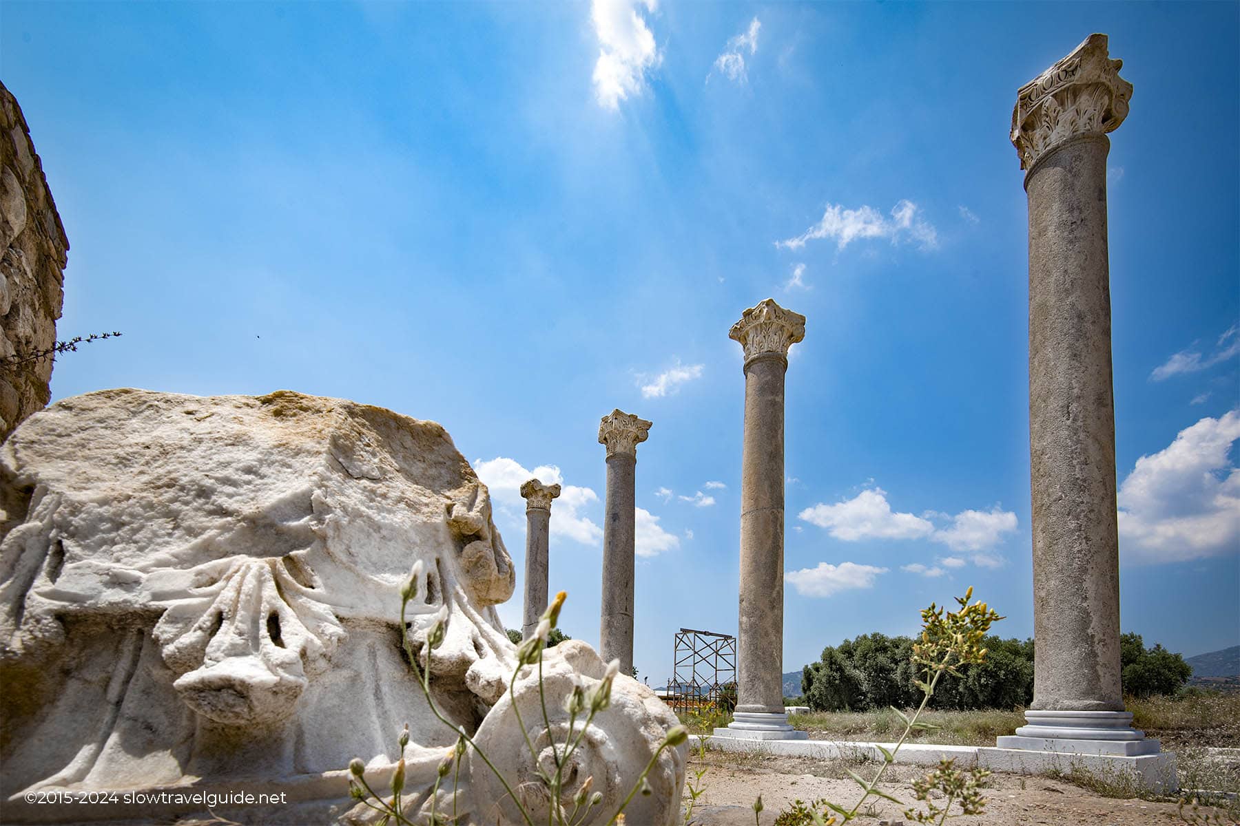 Phaselis-1800-06 TRALLEIS