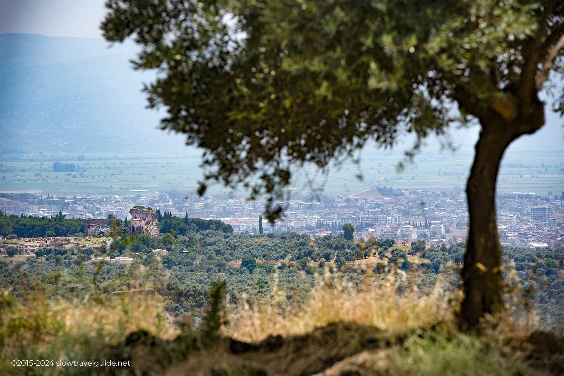 Phaselis-1800-08 TRALLEIS