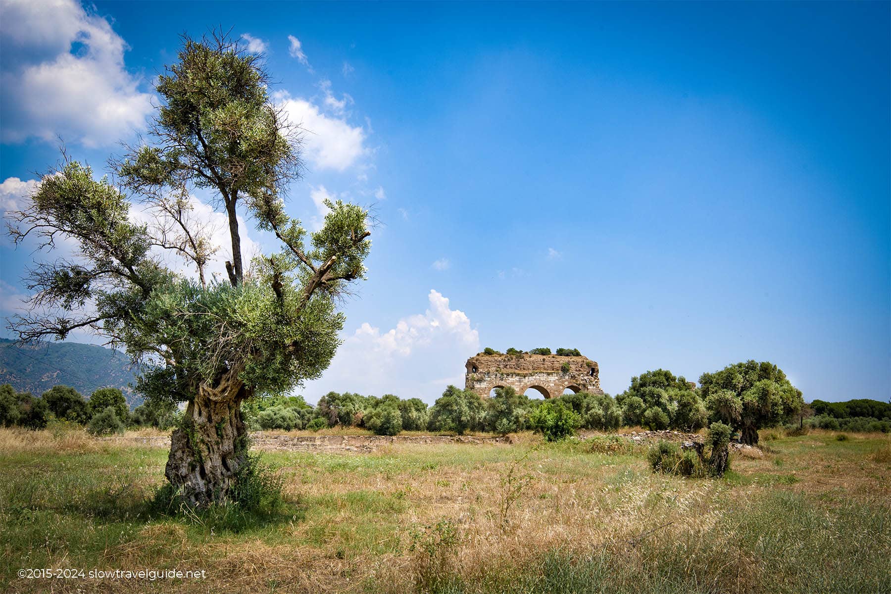 Phaselis-1800-06 TRALLEIS