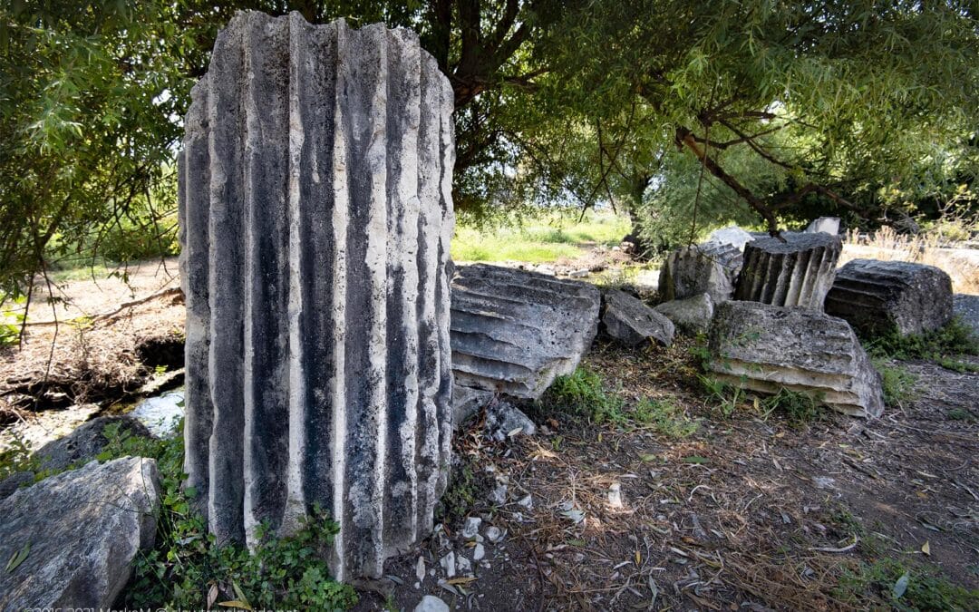 FRAGMENTS OF COLUMNS SCATTERED AROUND