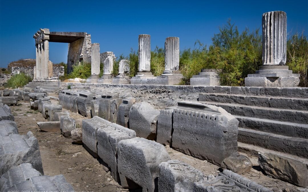 COLUMNS OF IONIC STOA AT MILETUS